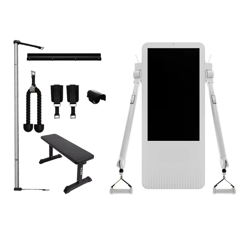 Home Automation Industry - 다기능 홈 피트니스 장비: 토날 벽걸이형